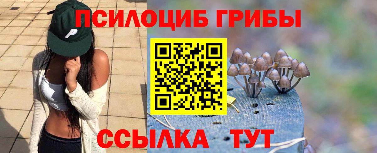 Галлюциногенные грибы Psilocybe  Псилоцибиновые грибы GOLDEN TEACHER  Копейск  Вход с VPN 